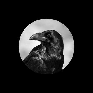 400部酒店情侣偷拍视频
