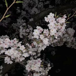 400部酒店情侣偷拍视频
