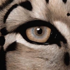 400部酒店情侣偷拍视频
